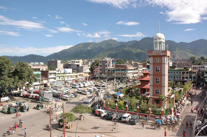 धरानमा  डेंगु संक्रमित संख्या दस हजार नाघ्यो, ११ जनाको मृत्यु