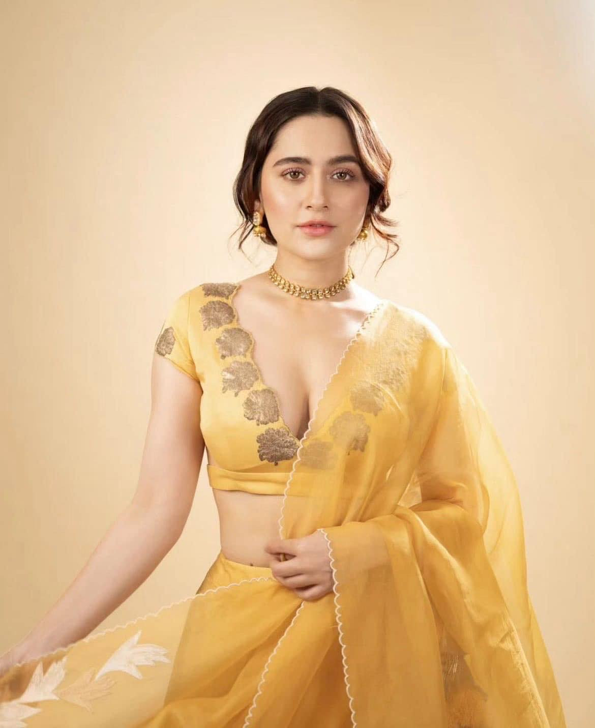 हिरामण्डीमा मनिषासँगै देखिएकी सन्जिदा शेख नेपाल आउँदै