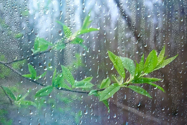 आज कहाँको मौसम कस्तो, आजको मौसम पूर्वानुमान