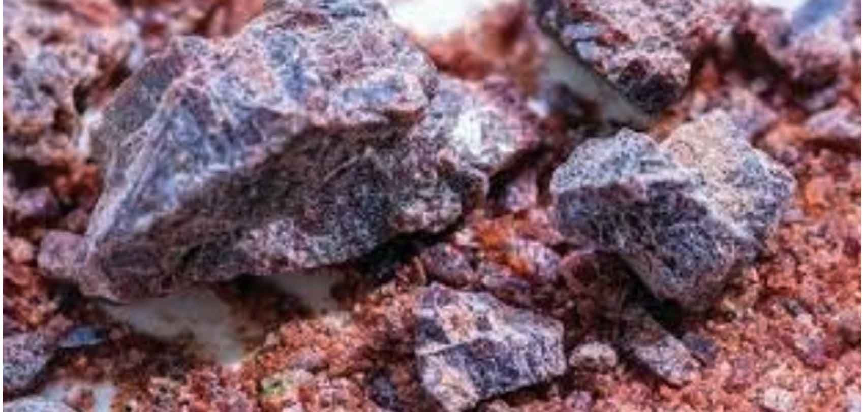 ग्यास्ट्रिकबाट छुटकारा पाउन बिरेनुन कति उपयोगी ?