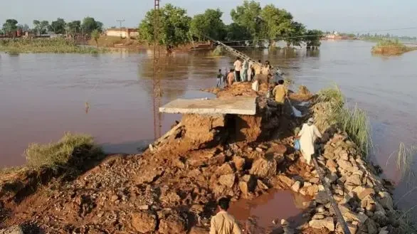 पाकिस्तानको पञ्जाबमा बाढीले हालत खराब, ६ जिल्लामा सेना परिचालन गर्न माग